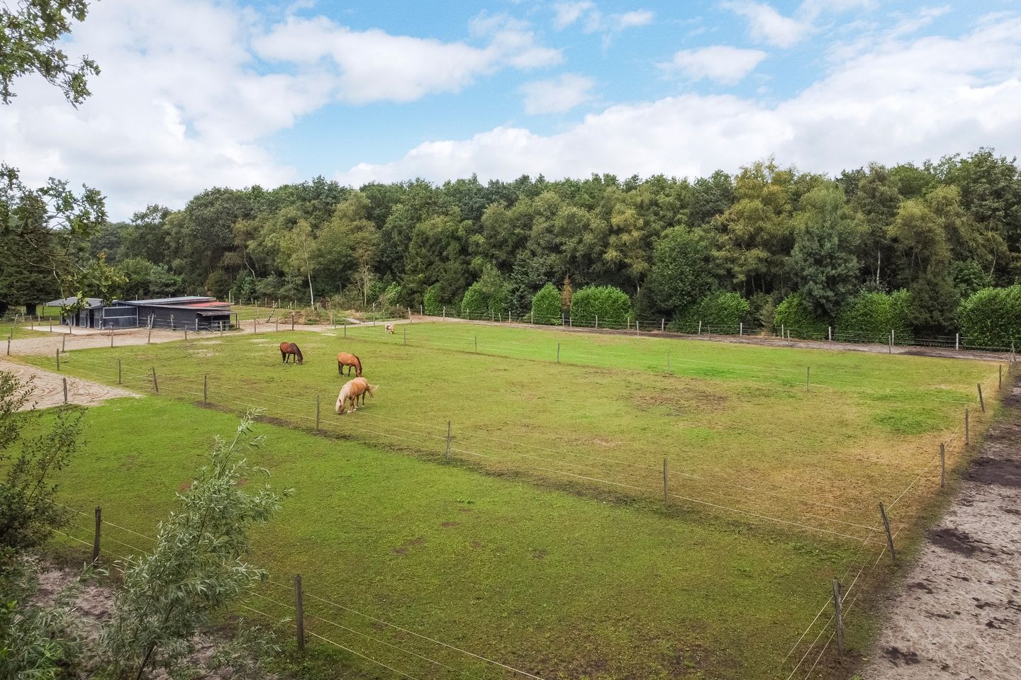 Photo 25 of Oostwijk 13
