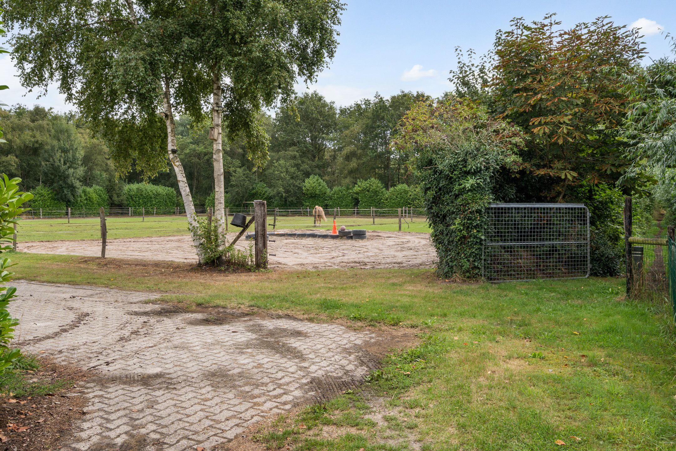 Photo 36 of Oostwijk 13
