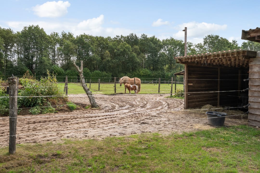Photo 41 of Oostwijk 13