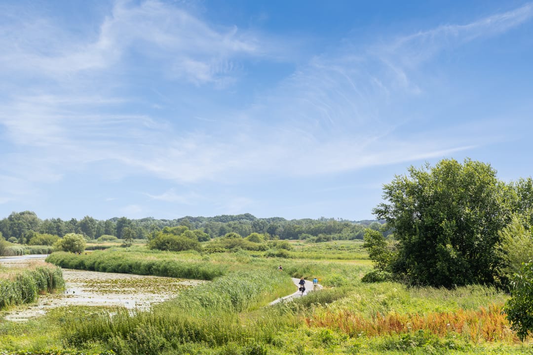 Foto 41 van Verwersstraat 104