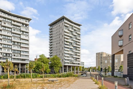 Fijnjekade thumbnail