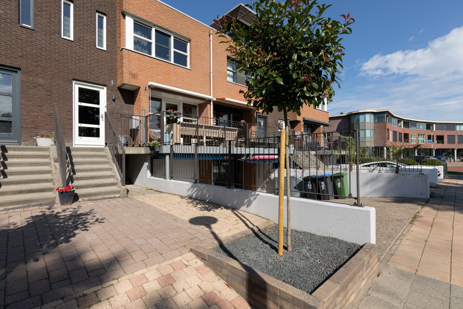 Foto 42 van Parelmoervlinder 3