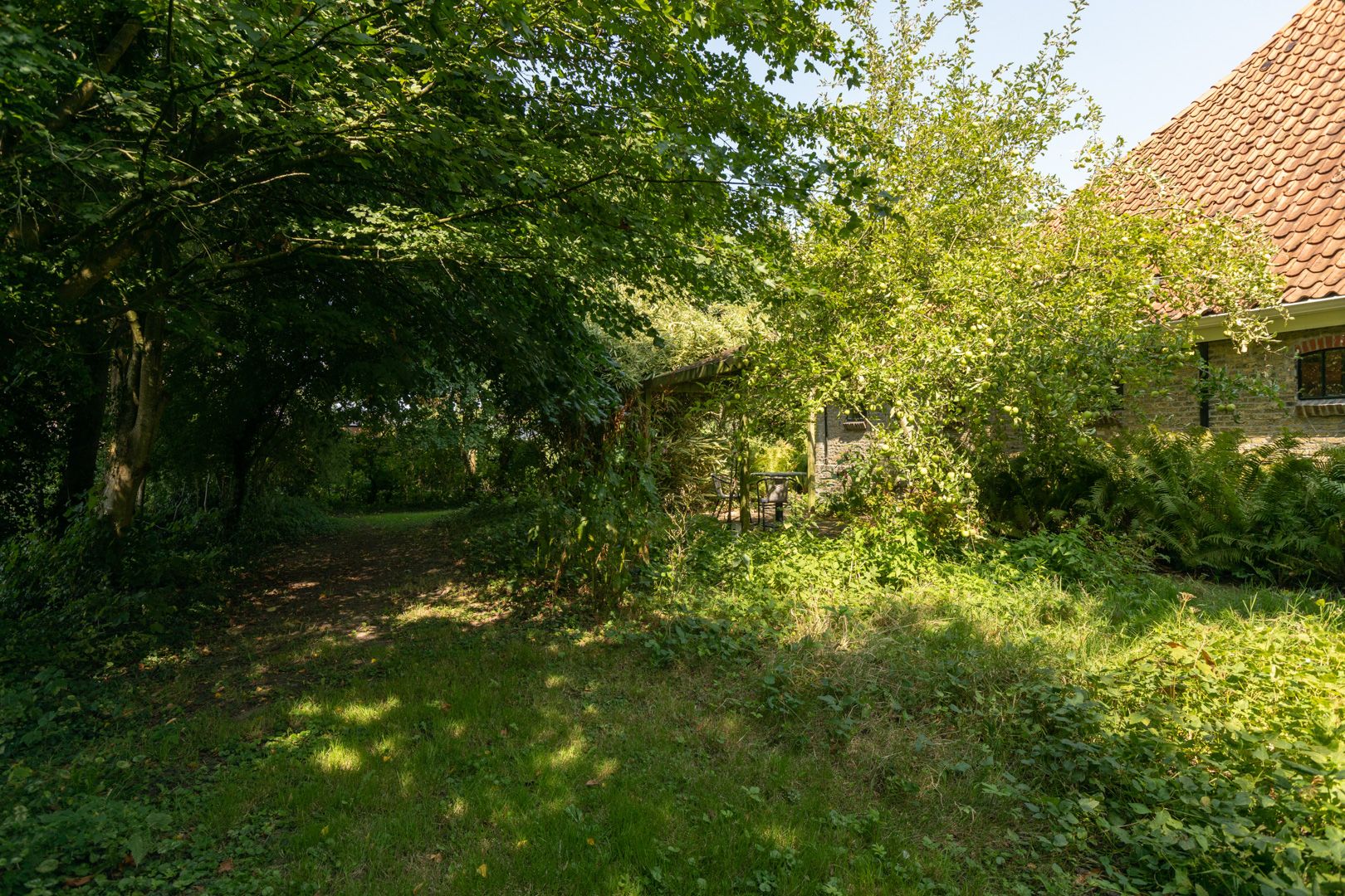 Photo 60 of Molenbuurt 4