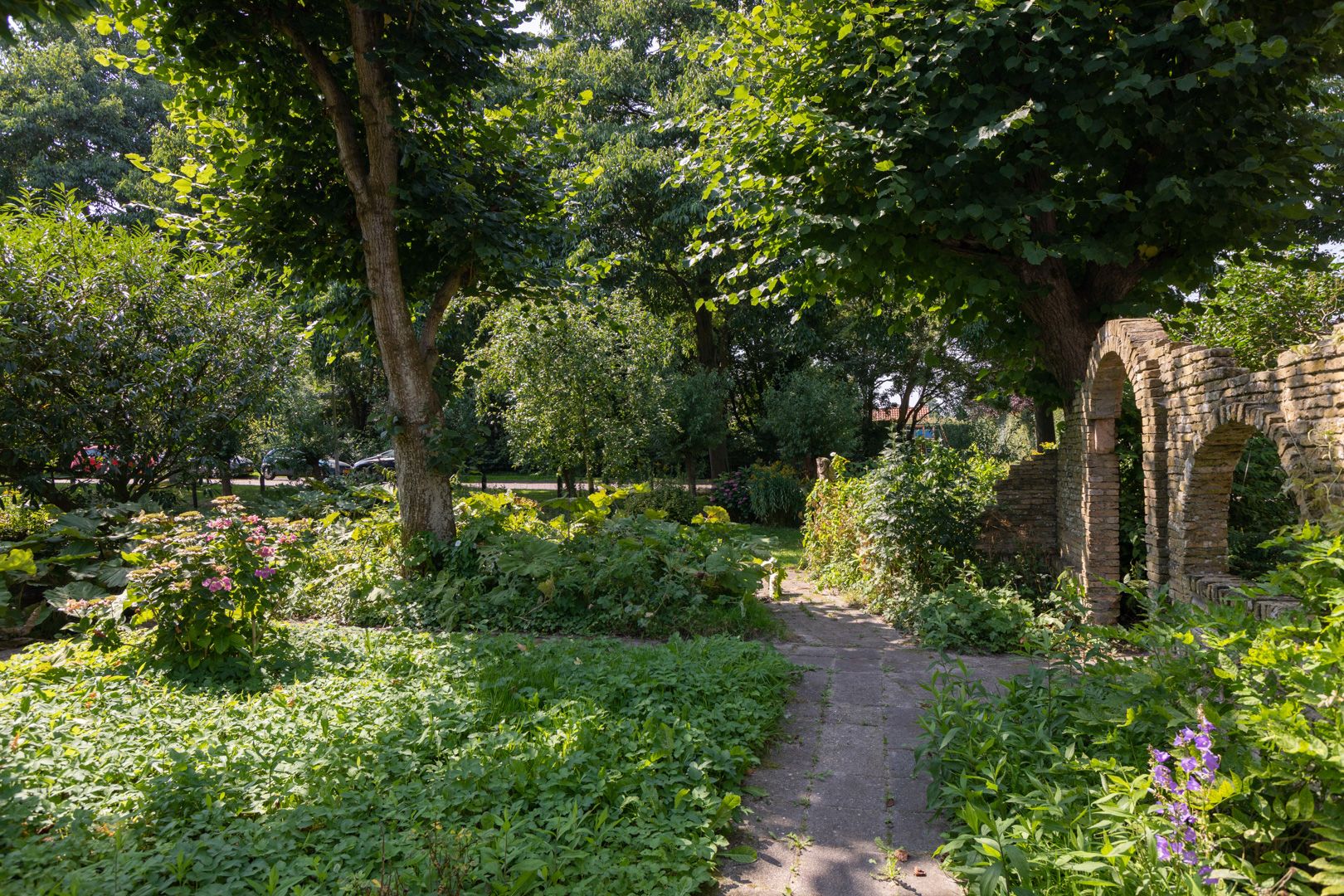 Photo 66 of Molenbuurt 4