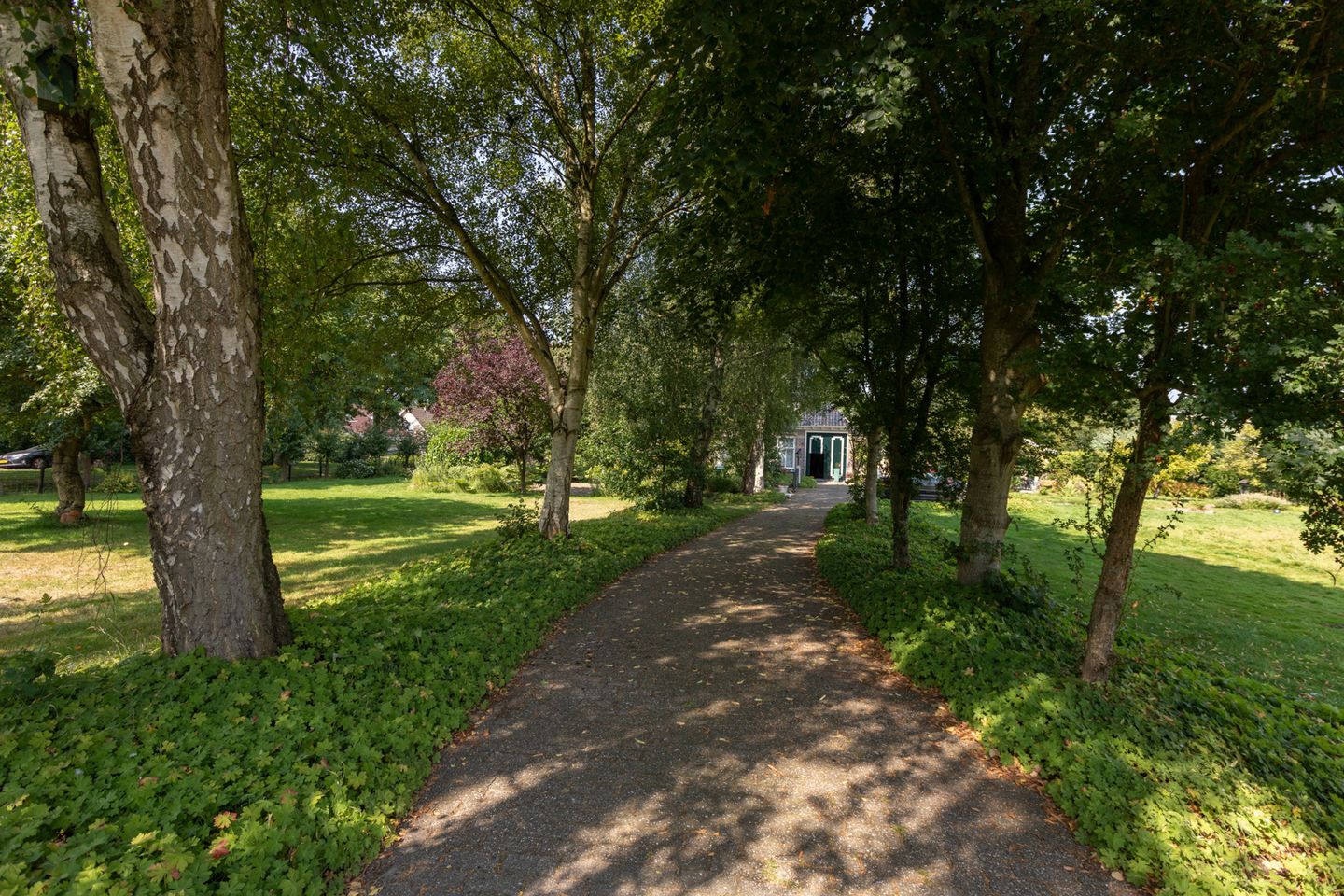 Photo 5 of Molenbuurt 4