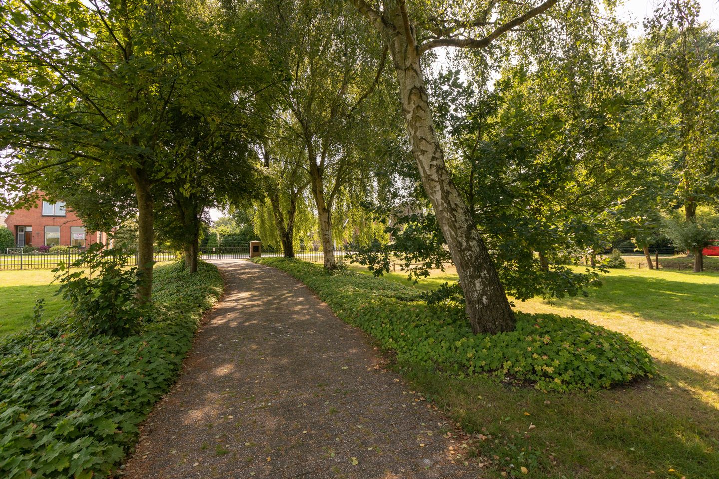 Photo 74 of Molenbuurt 4