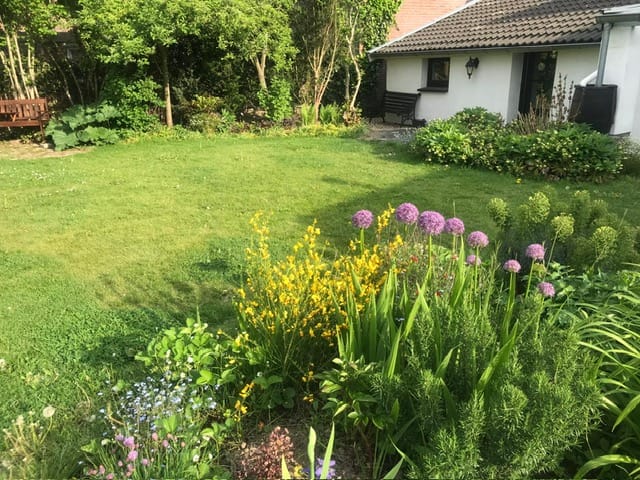 Foto 53 van Strucht 78
