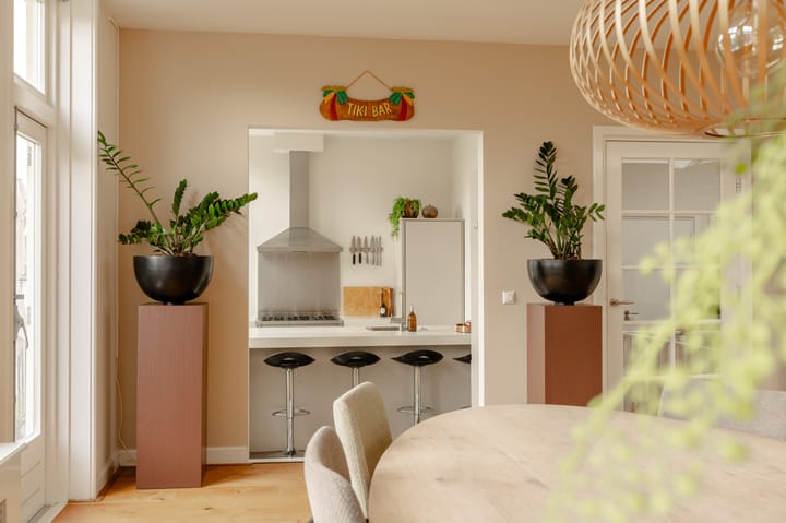 Foto 4 van Plantage Middenlaan 8-D
