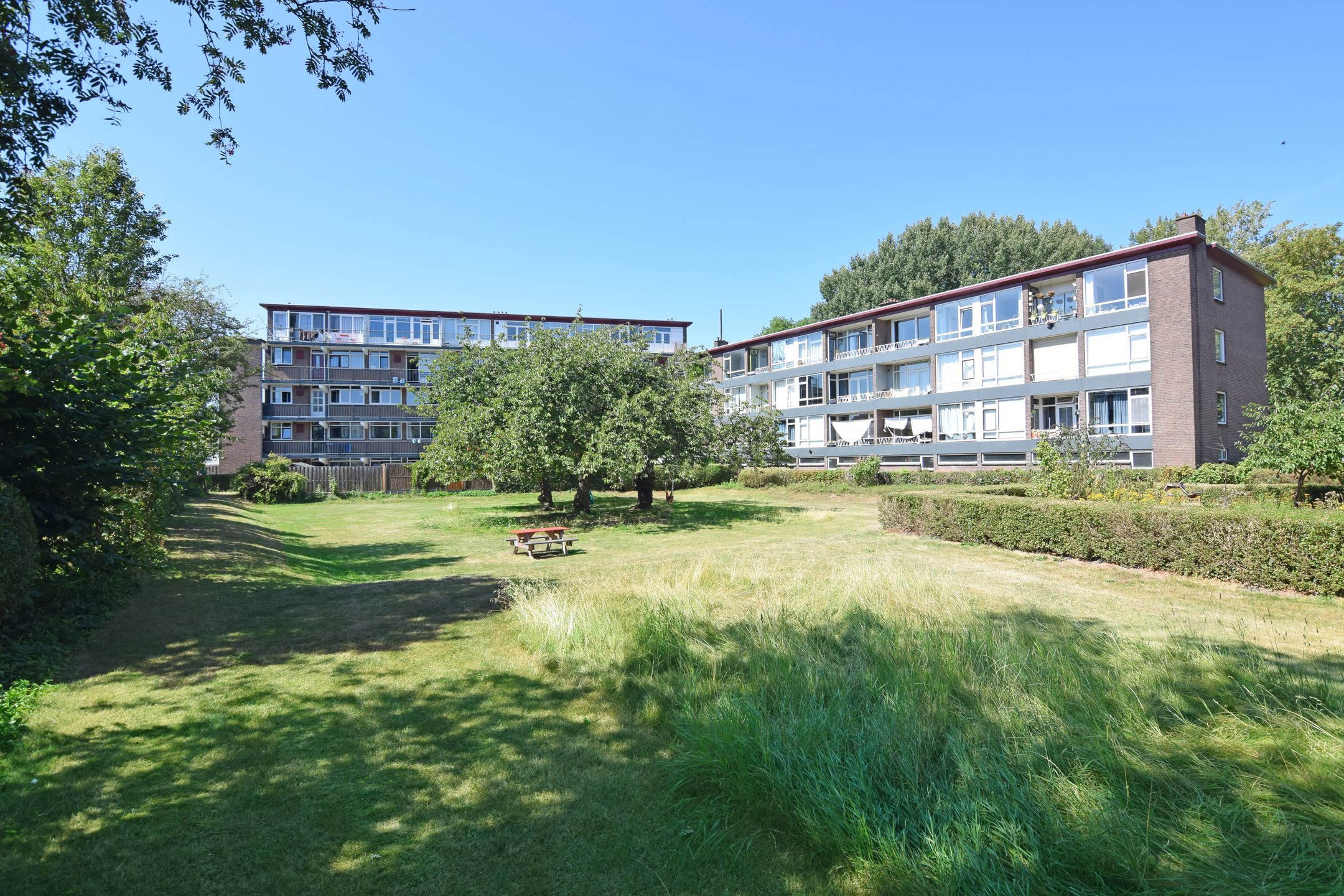 Photo 24 of Vechtplantsoen 56-1