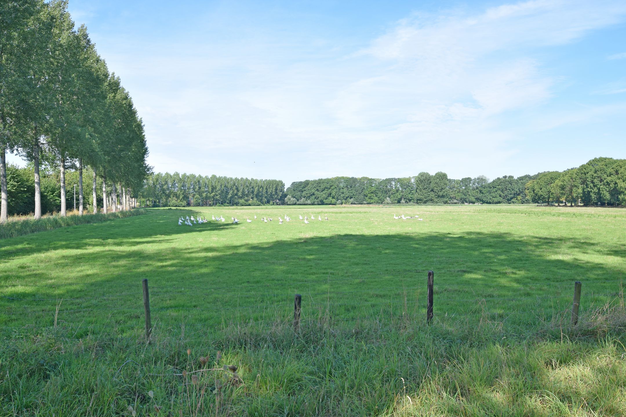 Photo 30 of Vechtplantsoen 56-1