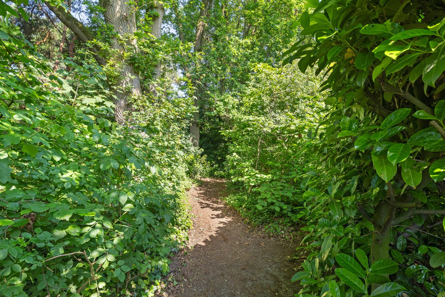 Foto 40 van De Platanen 15