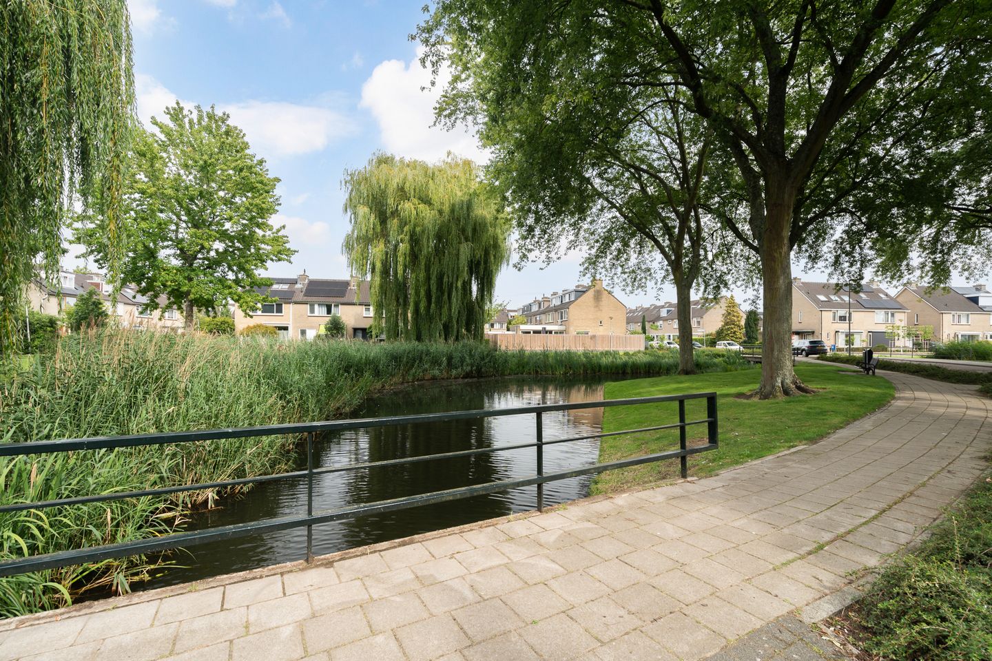 Photo 59 of Korenbloem 11