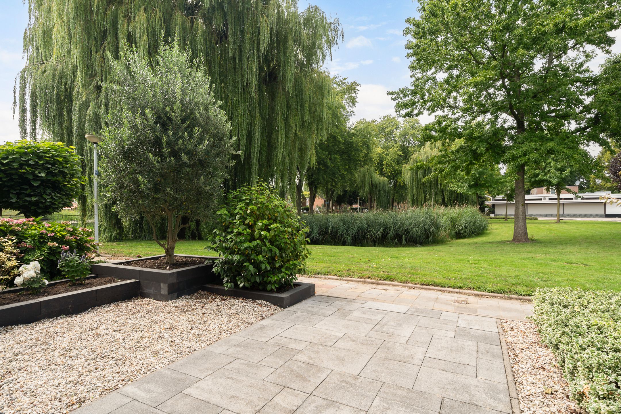 Photo 9 of Korenbloem 11