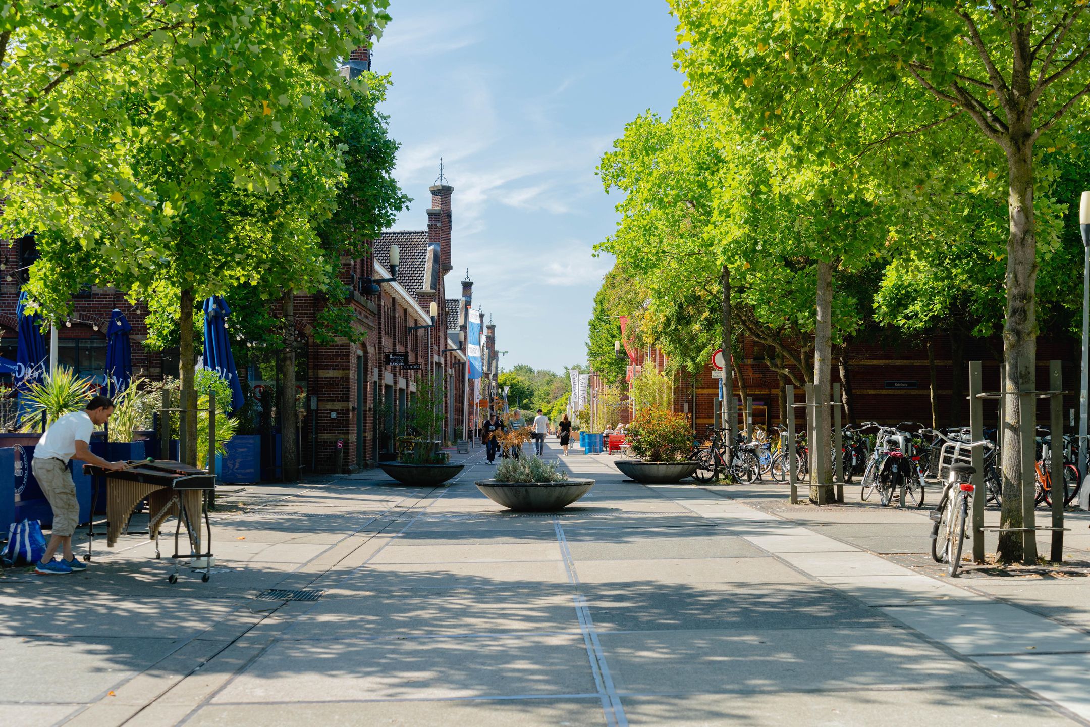 Photo 45 of Van Hallstraat 15-3