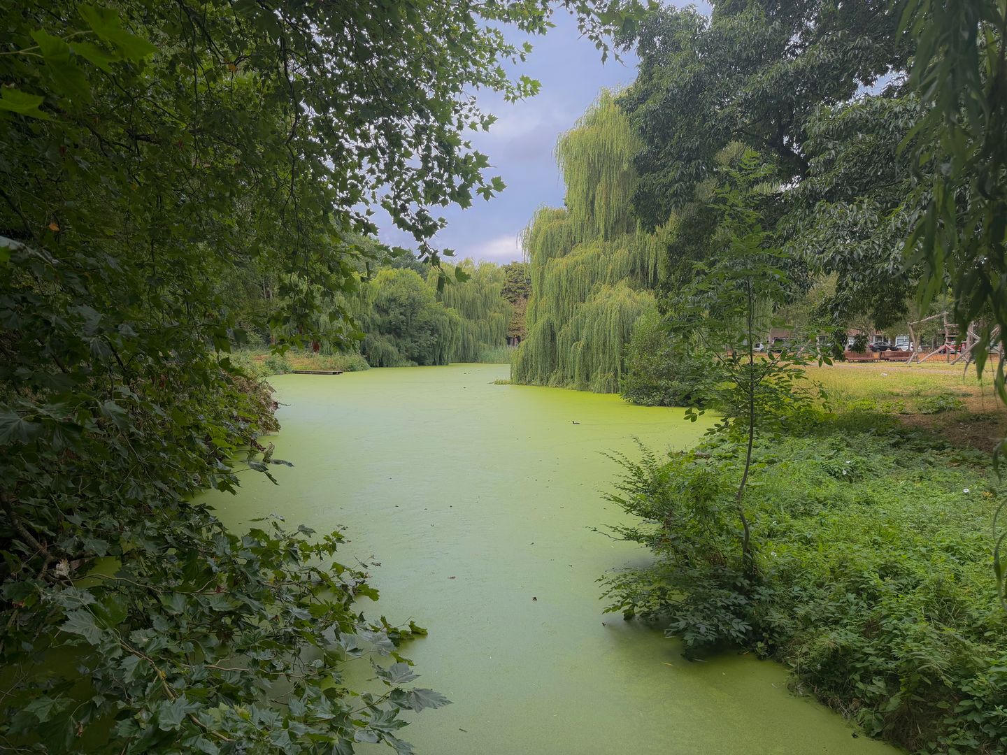 Photo 20 of Sinjeur Semeynsweg 279