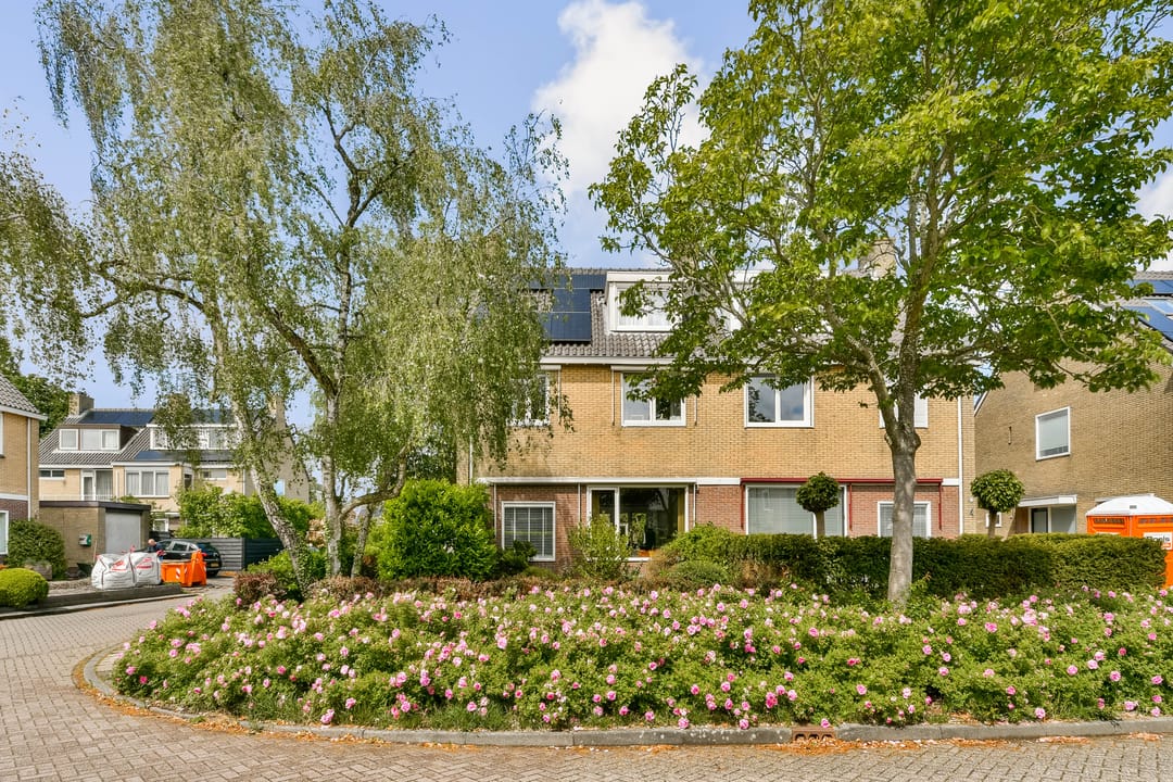 Foto 1 van Koningsvaren 123