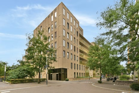 Rosy Wertheimstraat thumbnail