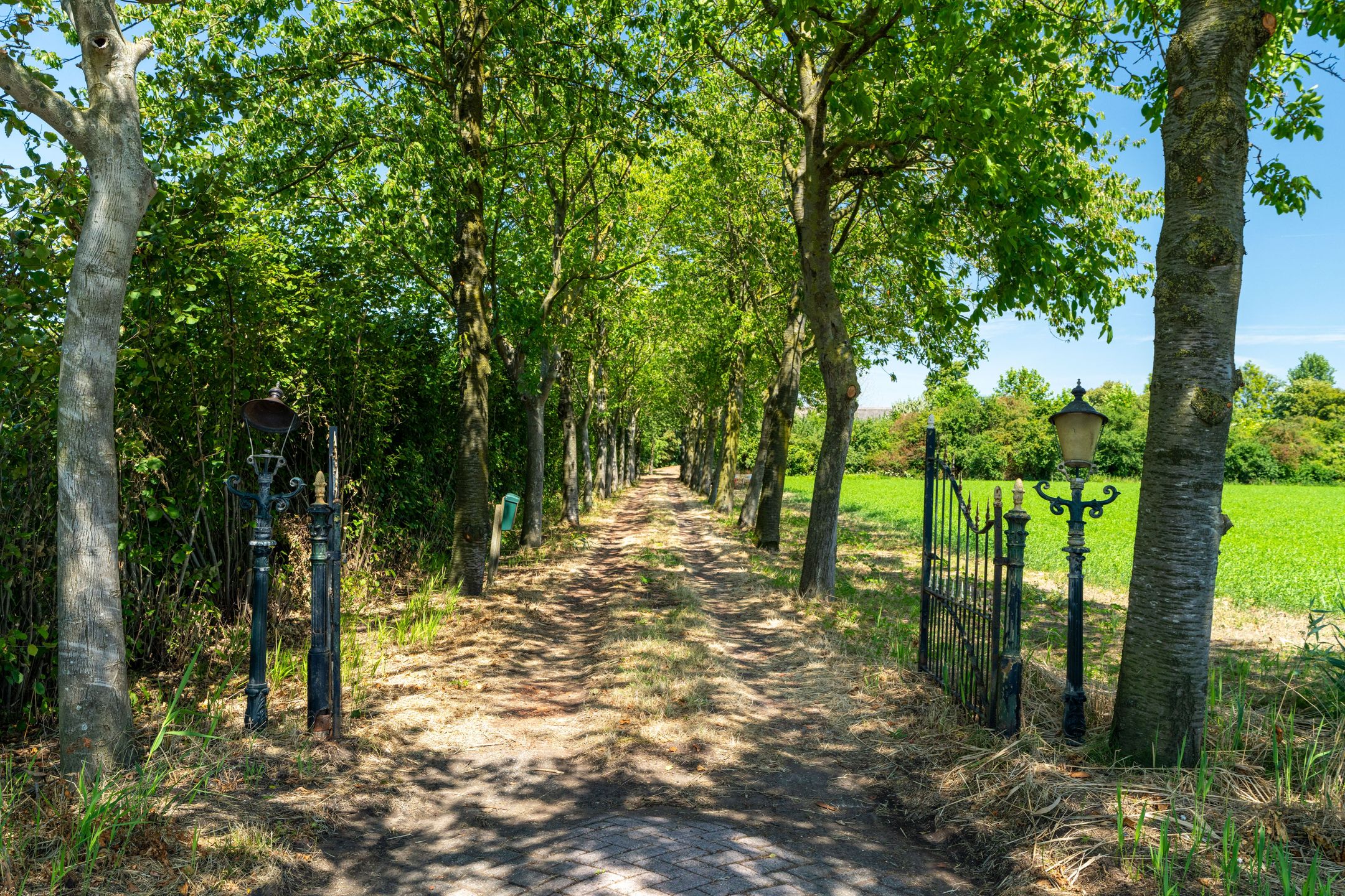 Photo 3 of Almweg 9