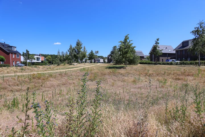 Foto 4 van Ansinghstraat 38