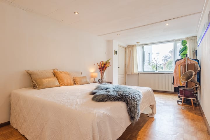 Vrijstaande woning te koop: Burgemeester de Leeuwstraat 20, Druten