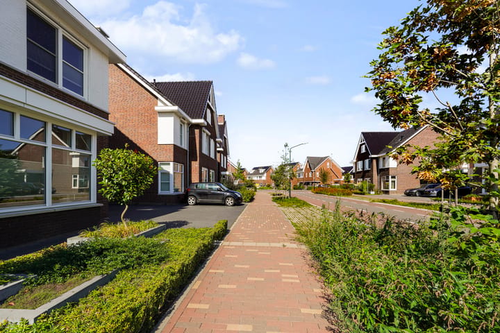 Foto 4 van Laan van Selis 23