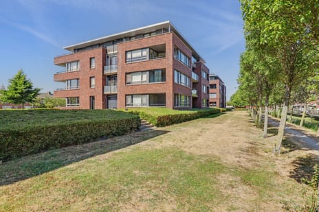 Van Poeljestraat thumbnail