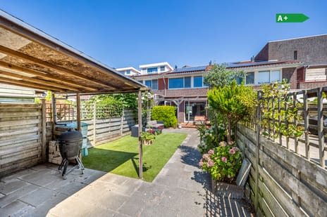 Libelsingel thumbnail