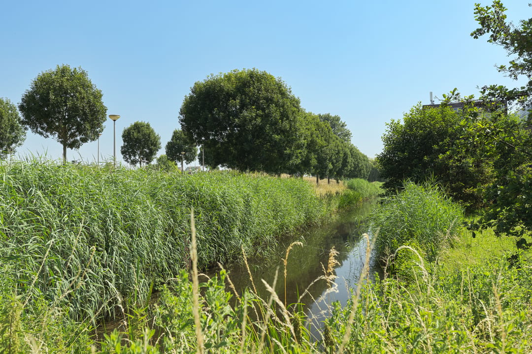 Photo 32 of Scharwater 3