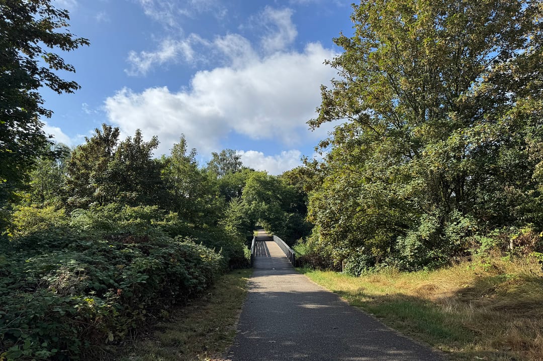 Foto 41 van Pettelaarseweg 63