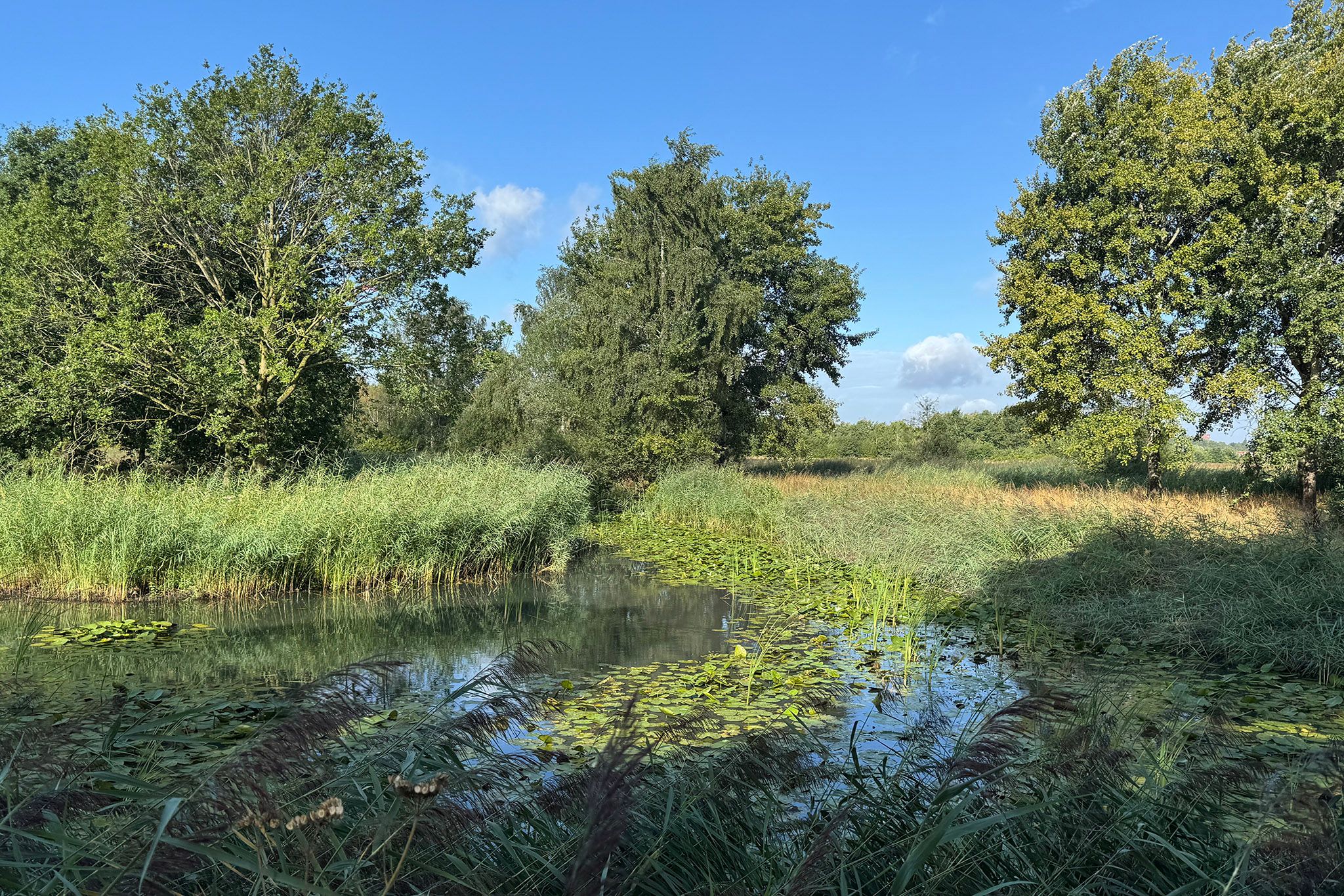 Foto 42 van Pettelaarseweg 63
