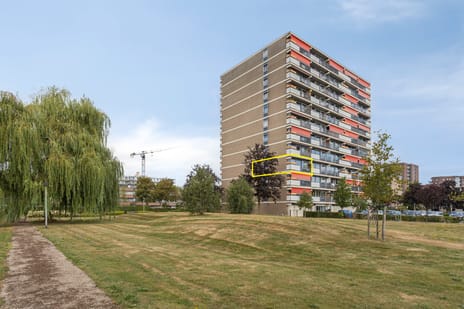 Aalscholversingel thumbnail