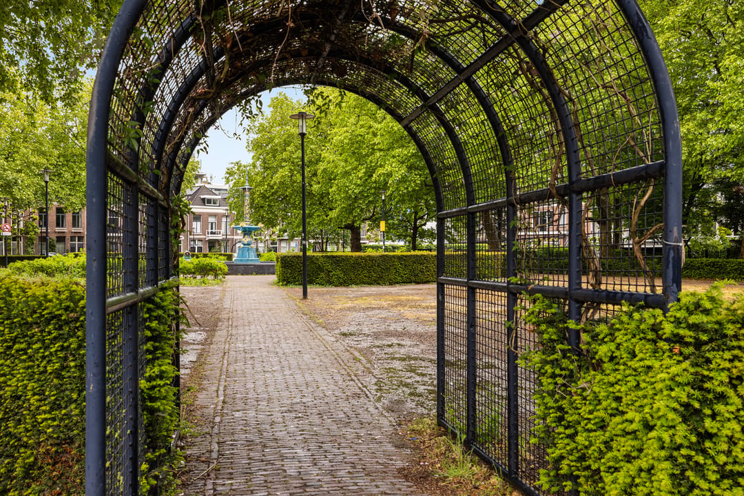 Photo 43 of Muys van Holystraat 14