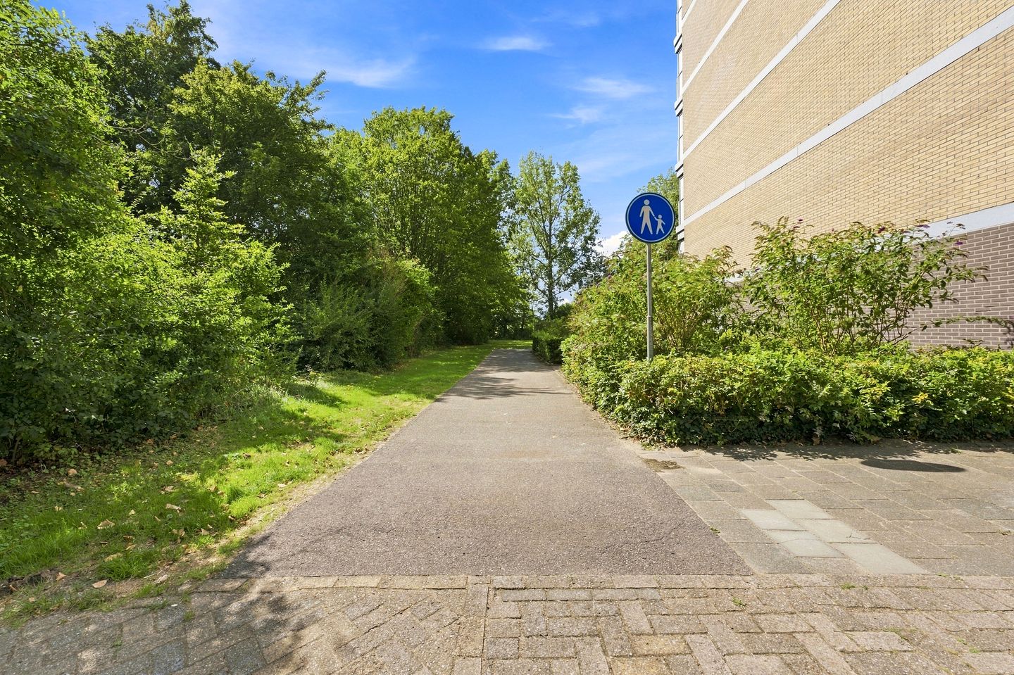 Foto 40 van Seringenplantsoen 41