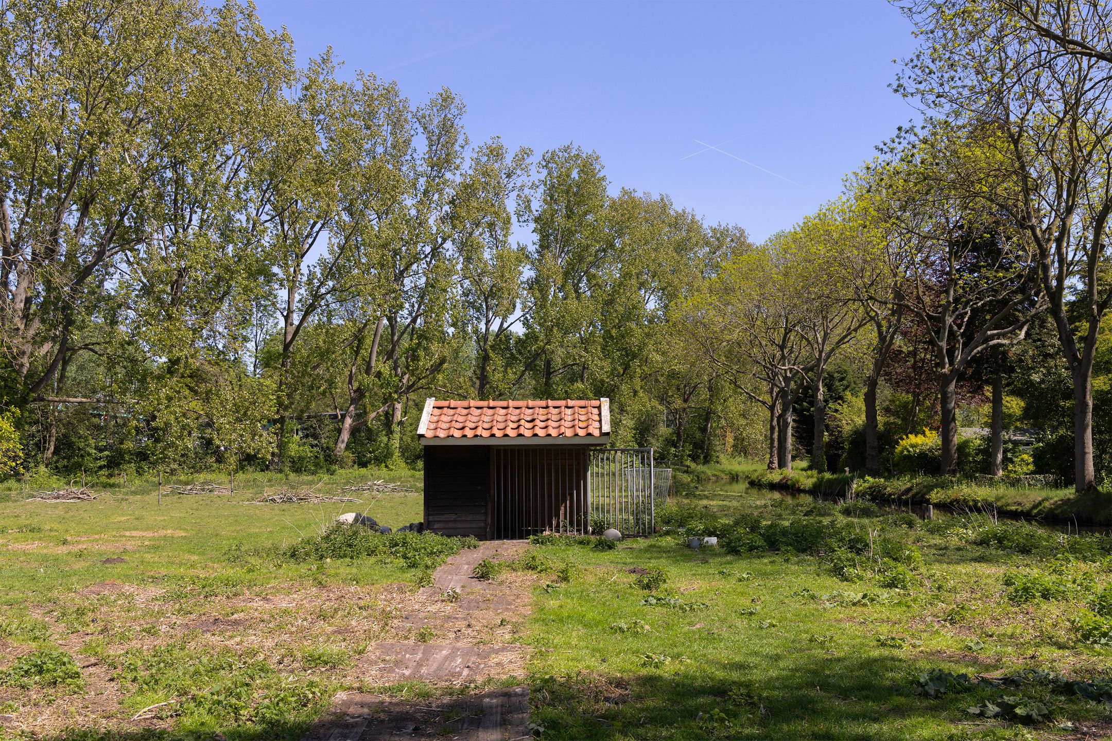 Foto 42 van Wijkergouw 36