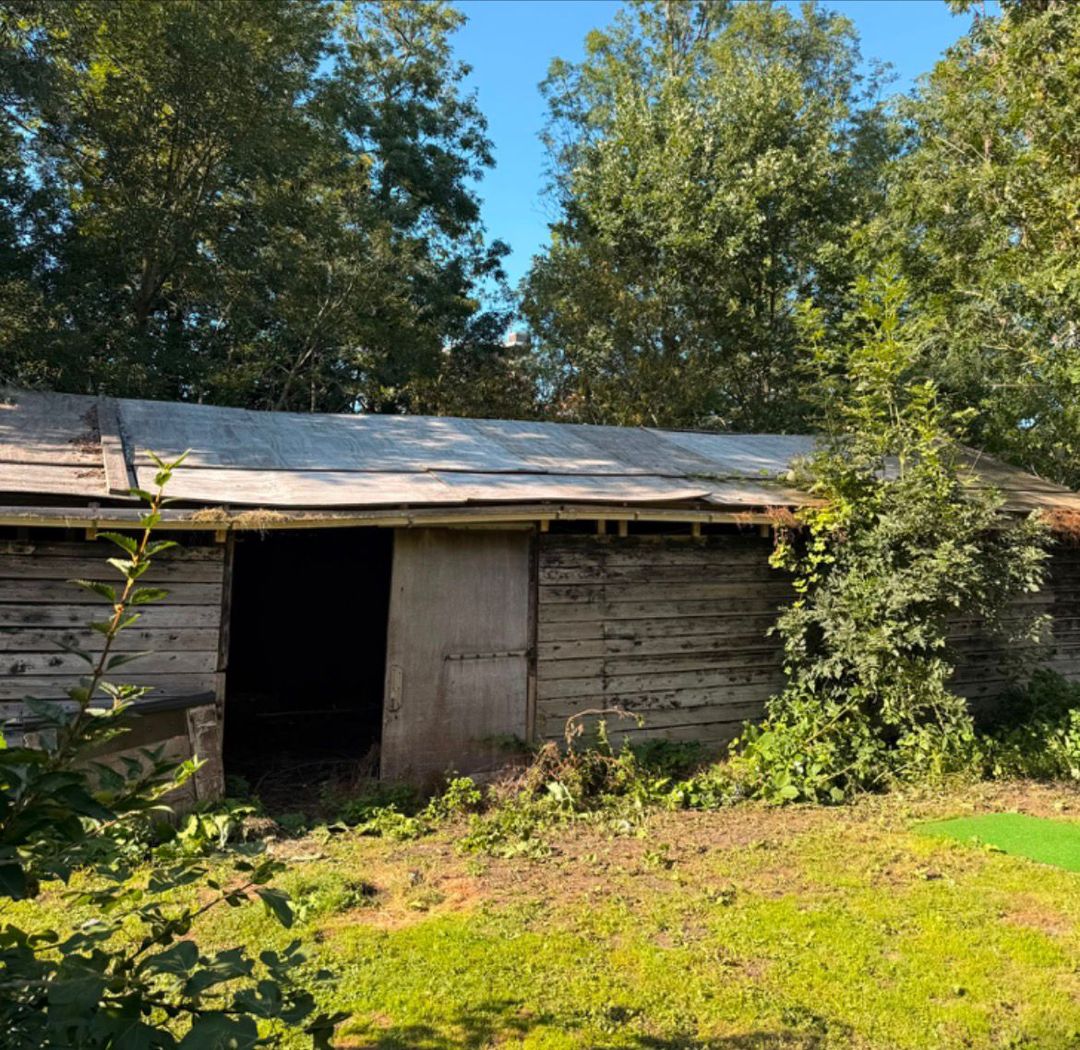 Foto 46 van Wijkergouw 36