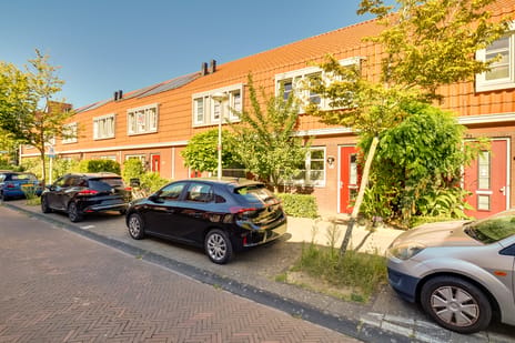 Druifstraat thumbnail