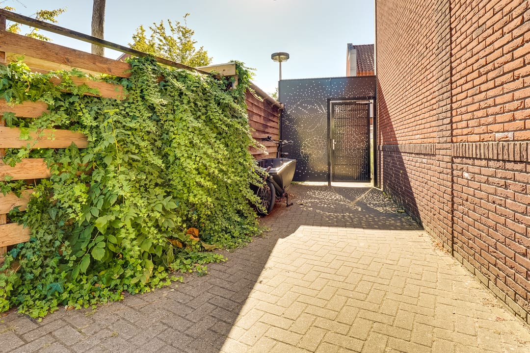 Foto 46 van Druifstraat 28