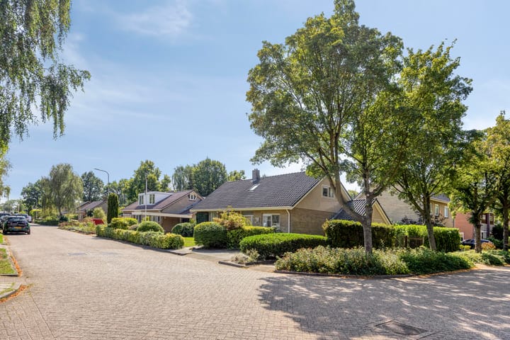 Vrijstaande woning te koop: Hugo de Vrieslaan 19, Zwolle