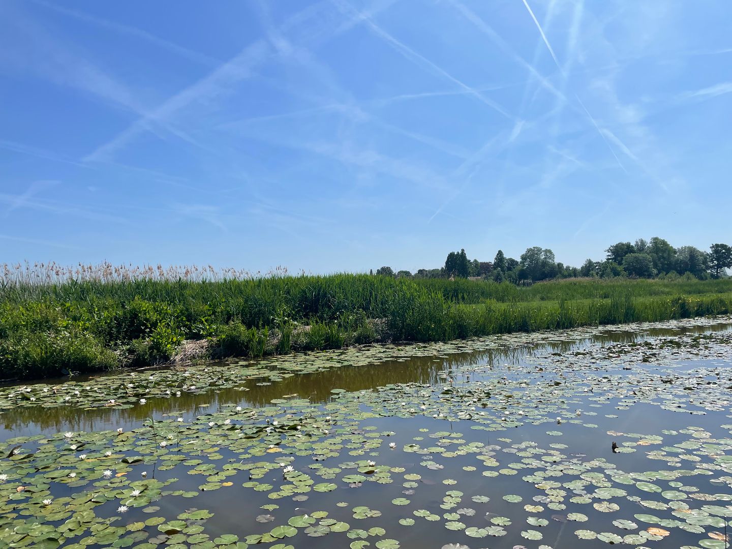 Vlietdijk - Reeuwijk - Afbeelding 7