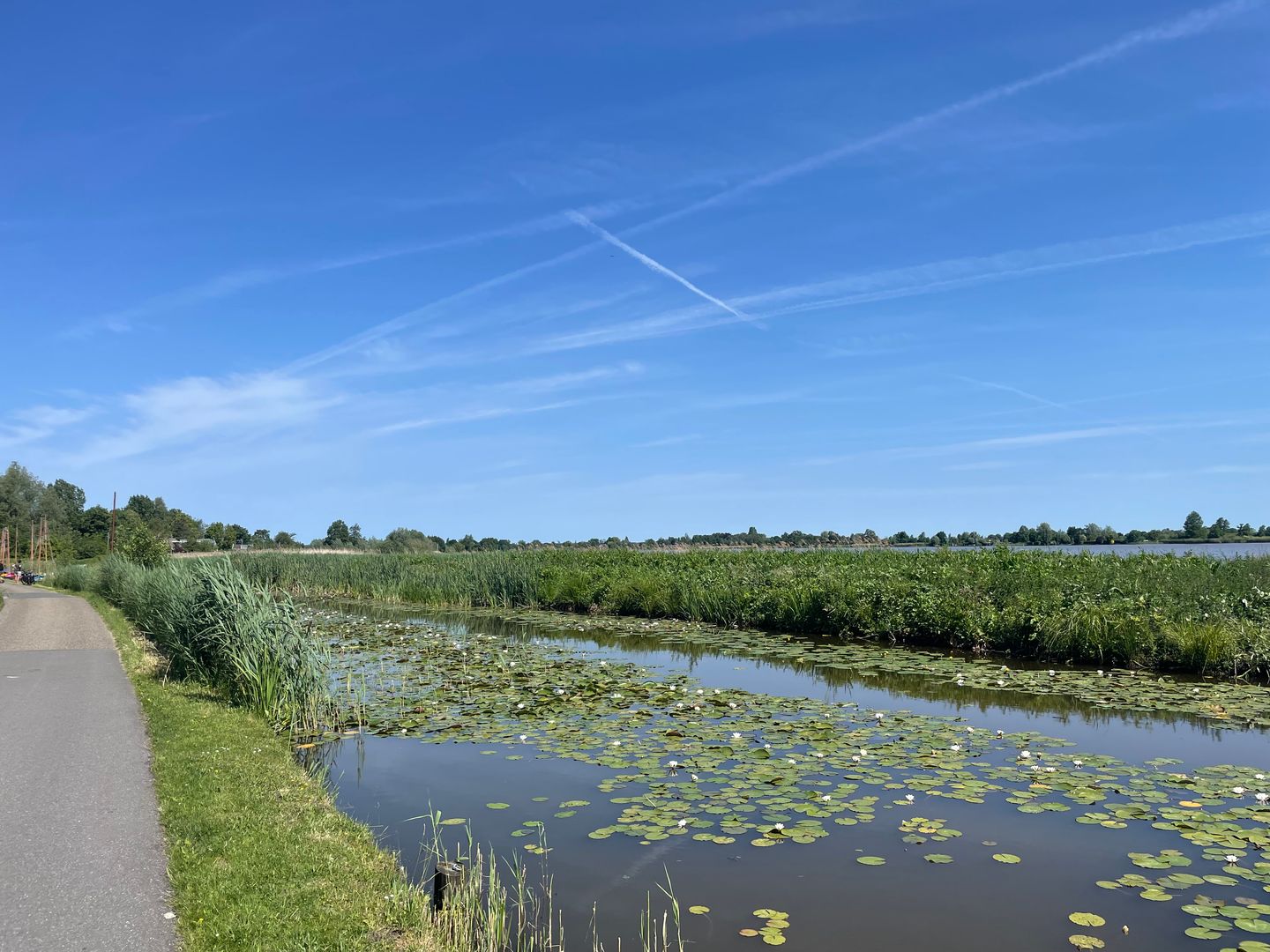 Vlietdijk - Reeuwijk - Afbeelding 2
