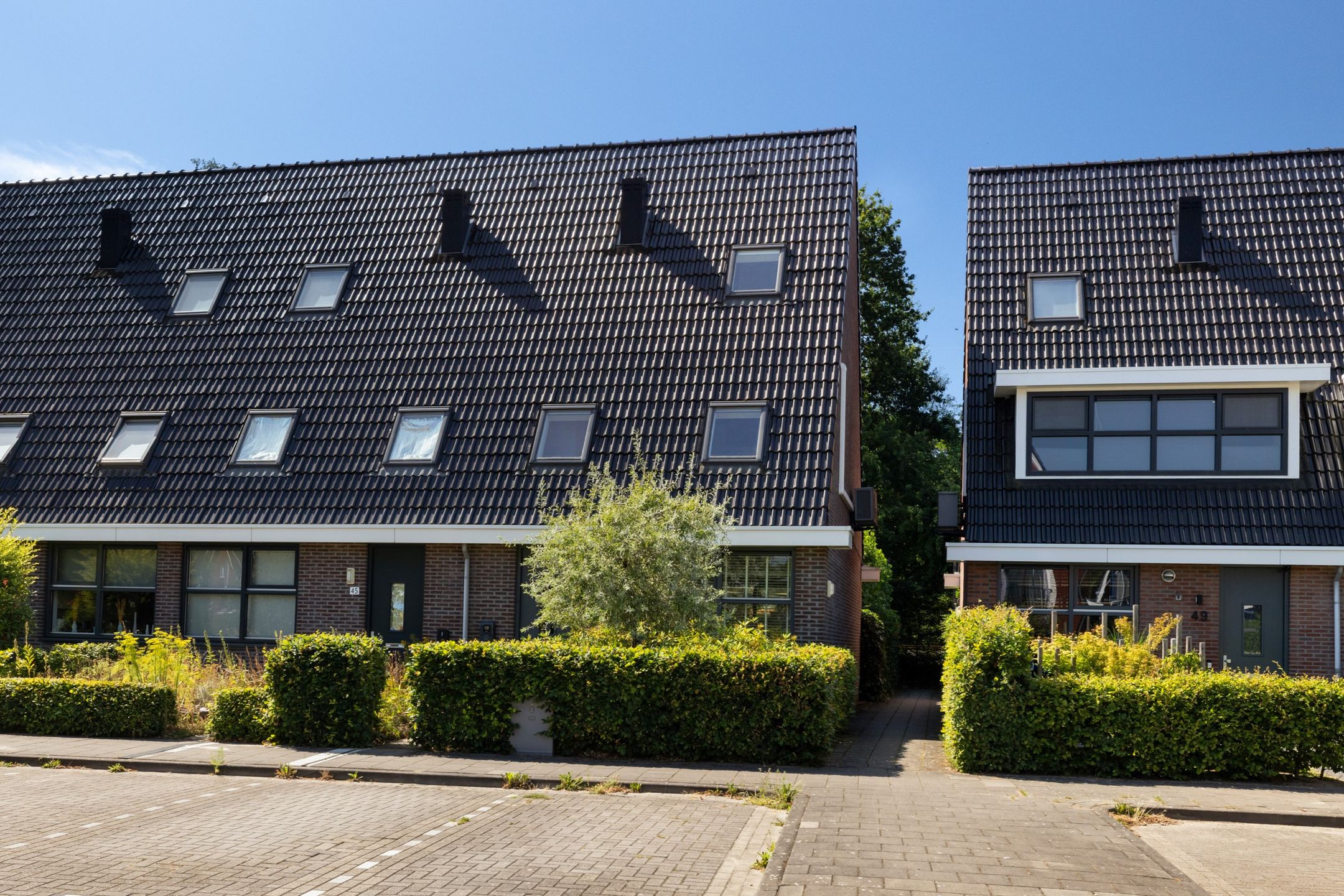 Samuel de Marezhof 47 