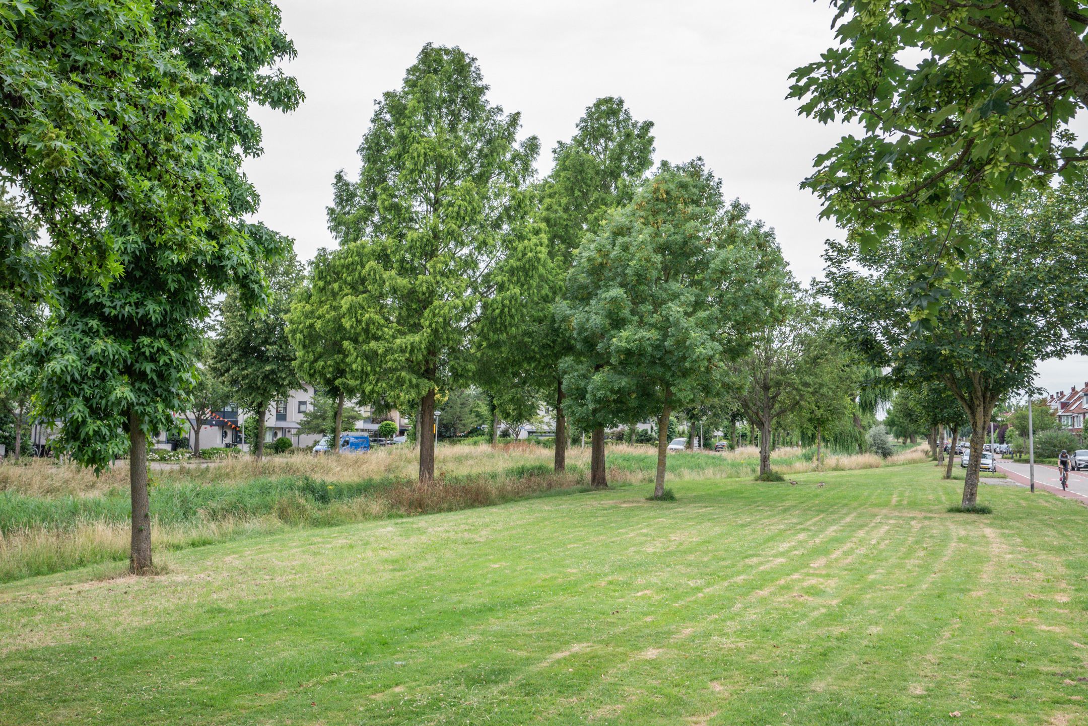 Foto 48 van Hondiusdreef 12