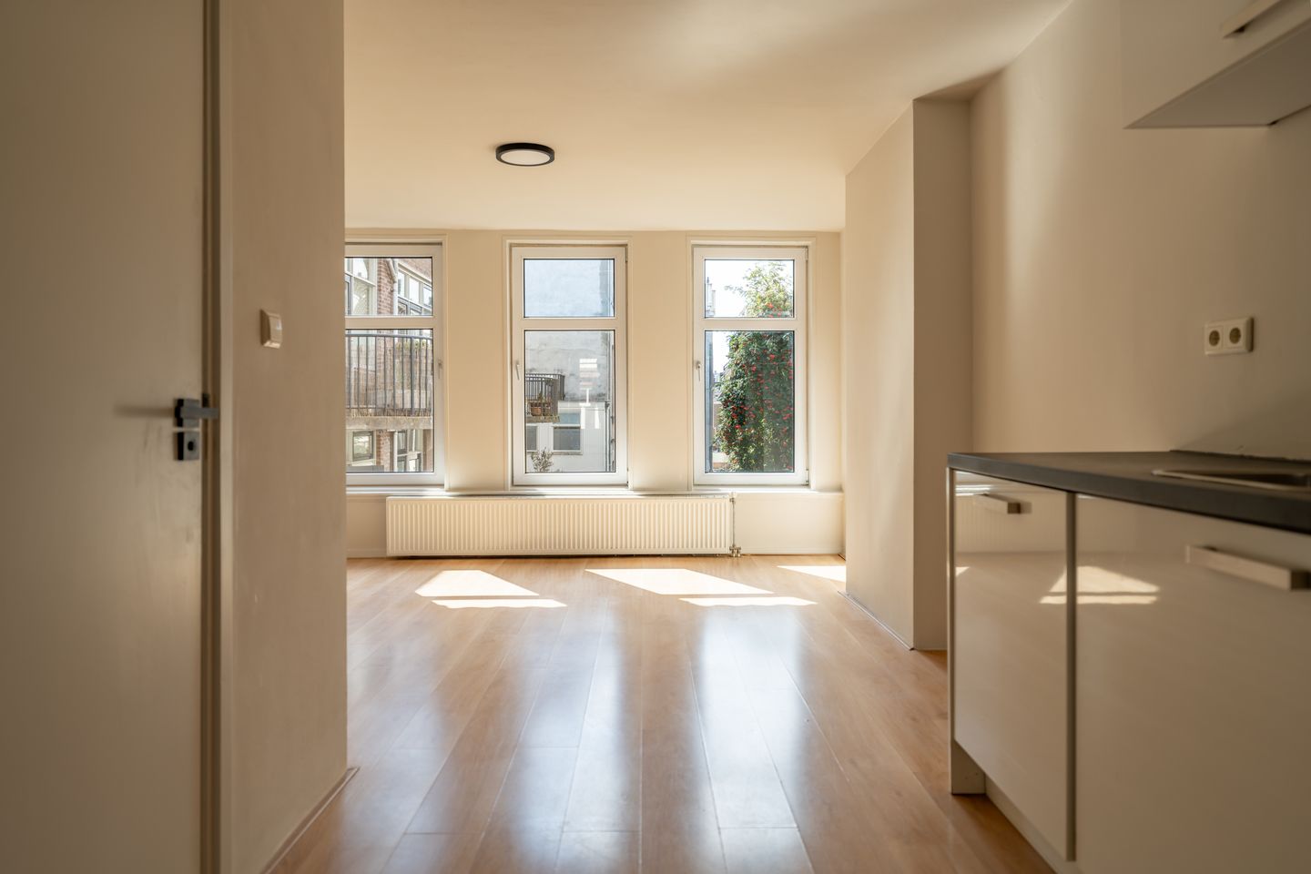 View photo 2 of Derde Egelantiersdwarsstraat 20-2