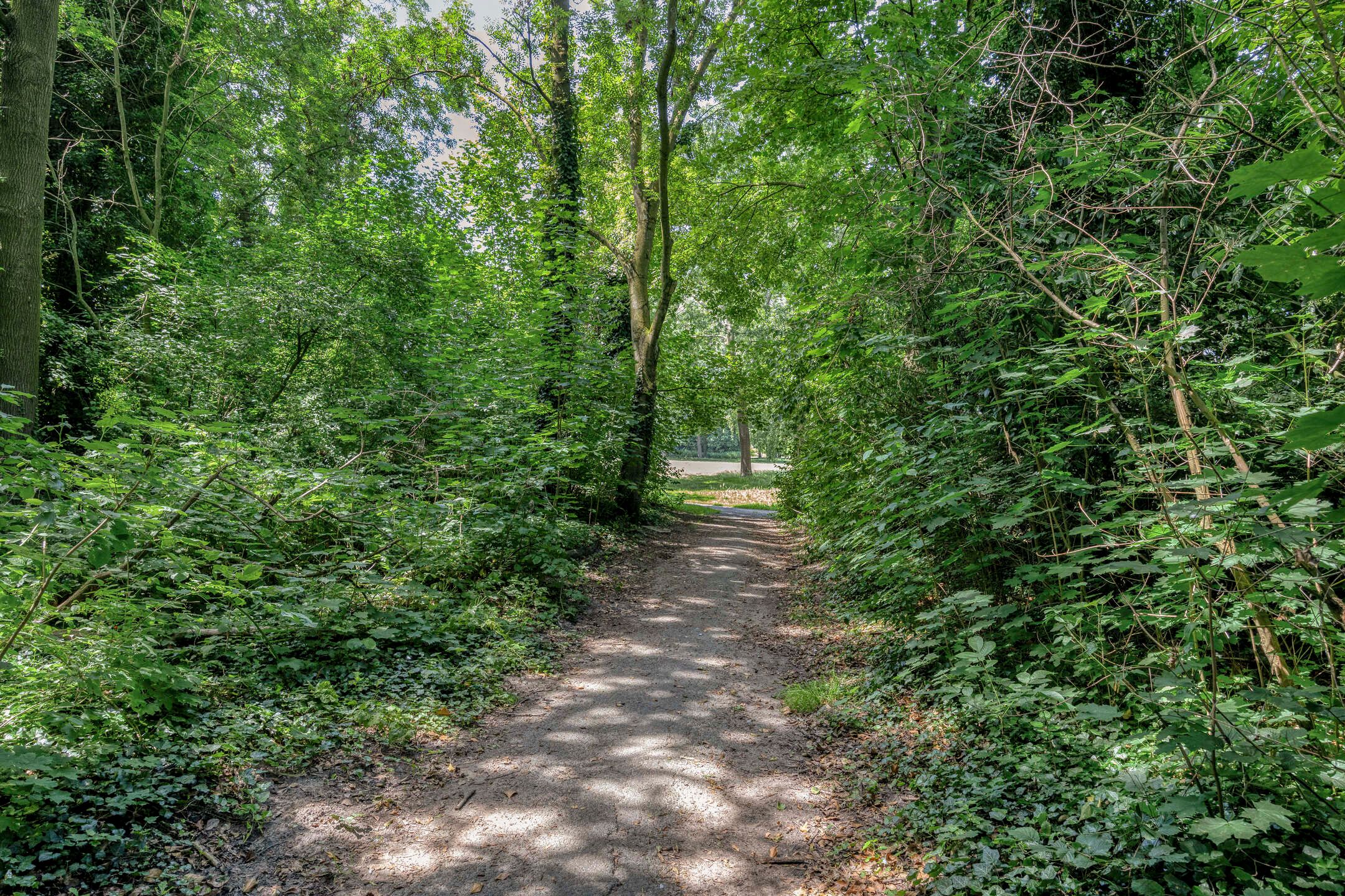 Photo 45 of Weldam 5