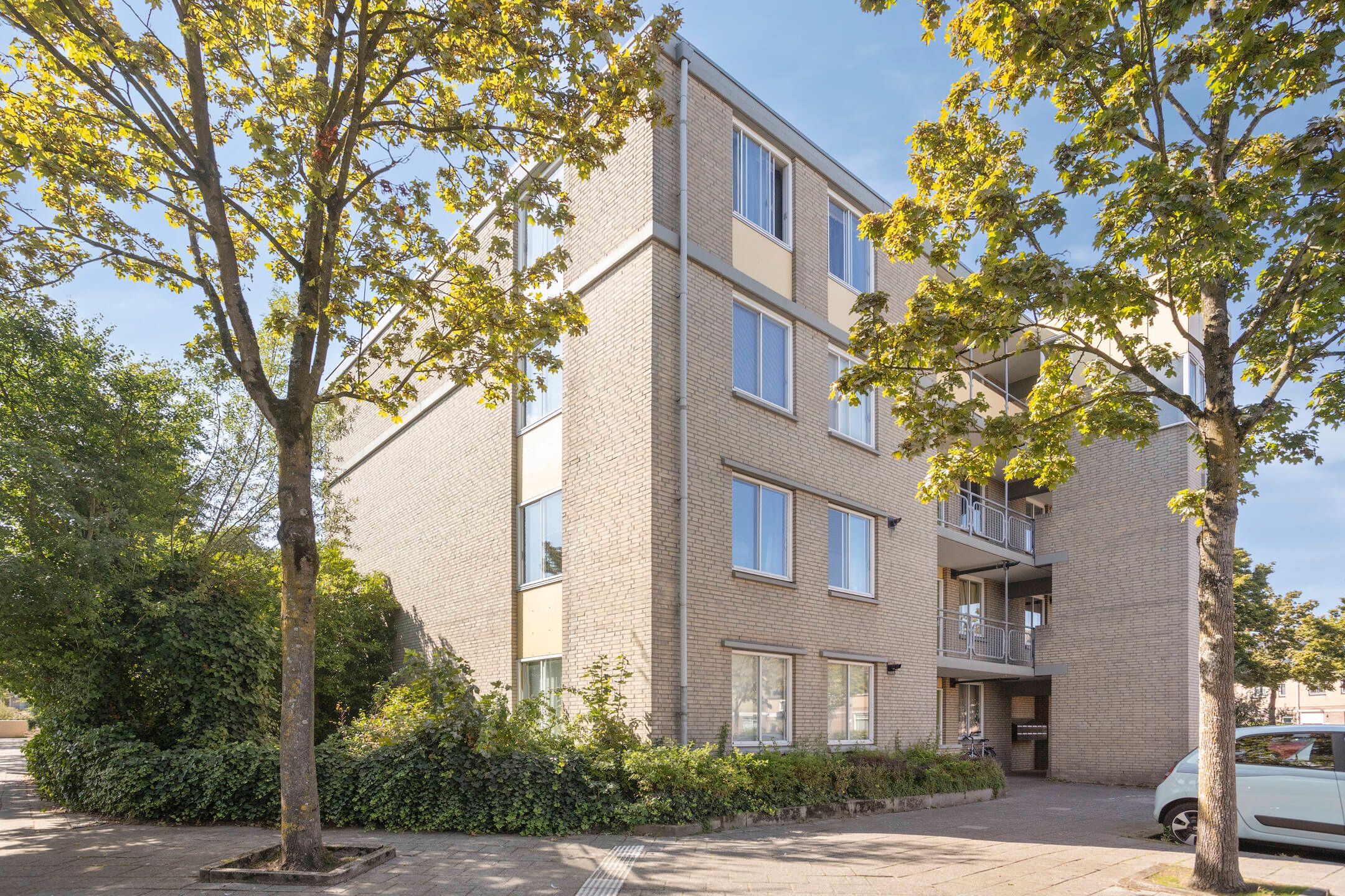 Camera Obscurastraat 237 