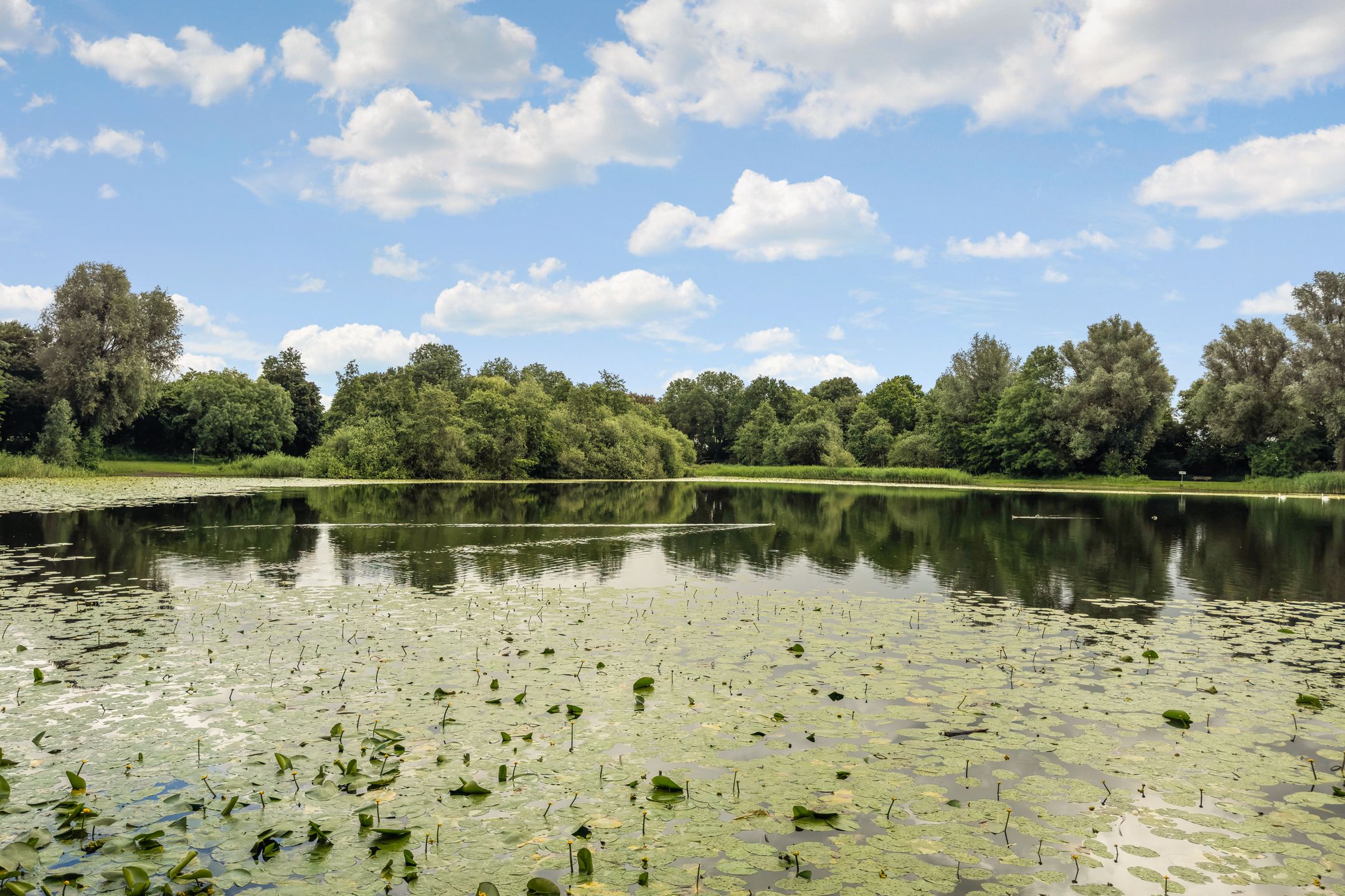 Photo 39 of Baarssloot 14