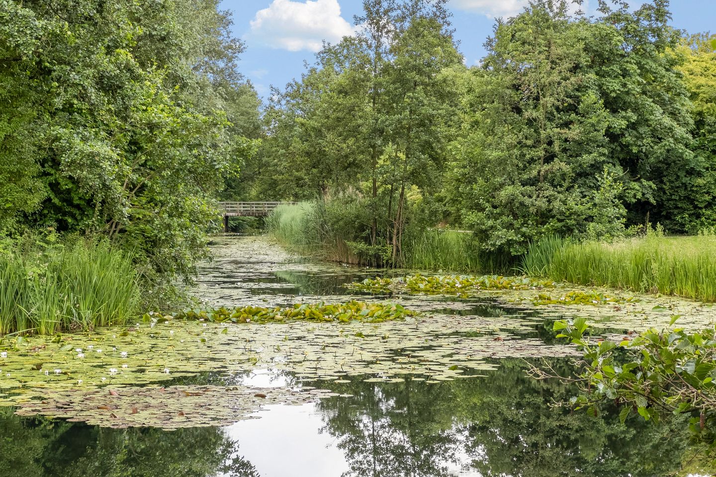 Photo 44 of Baarssloot 14