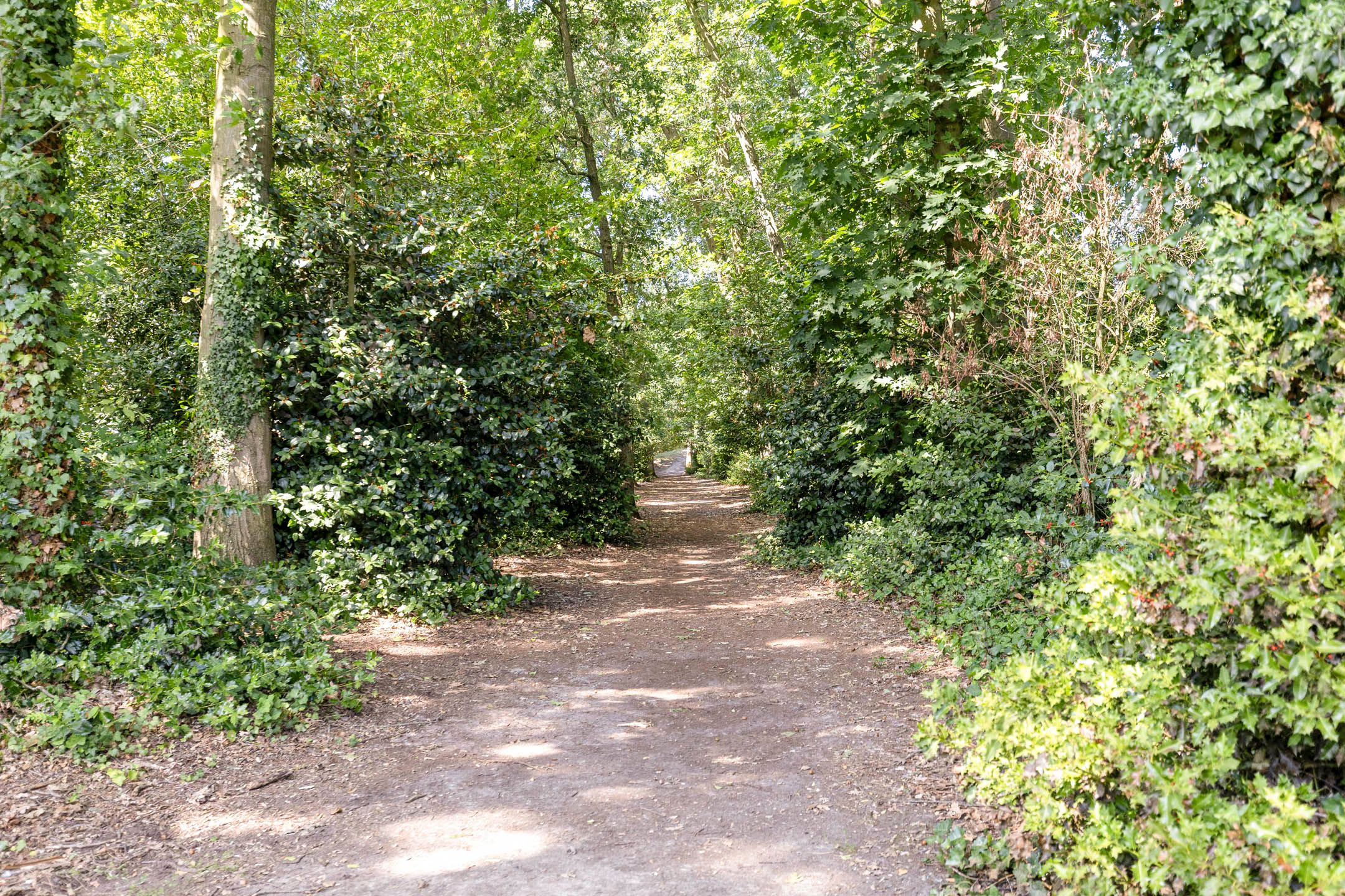 Foto 42 van Steltlopen 19