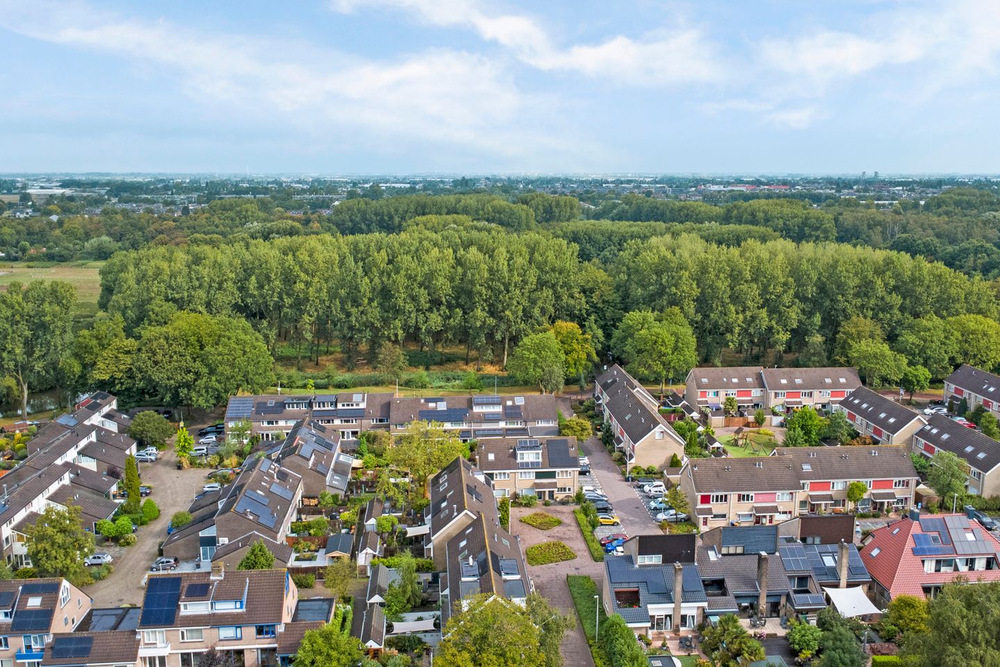 Photo 40 of Papaverveld 41
