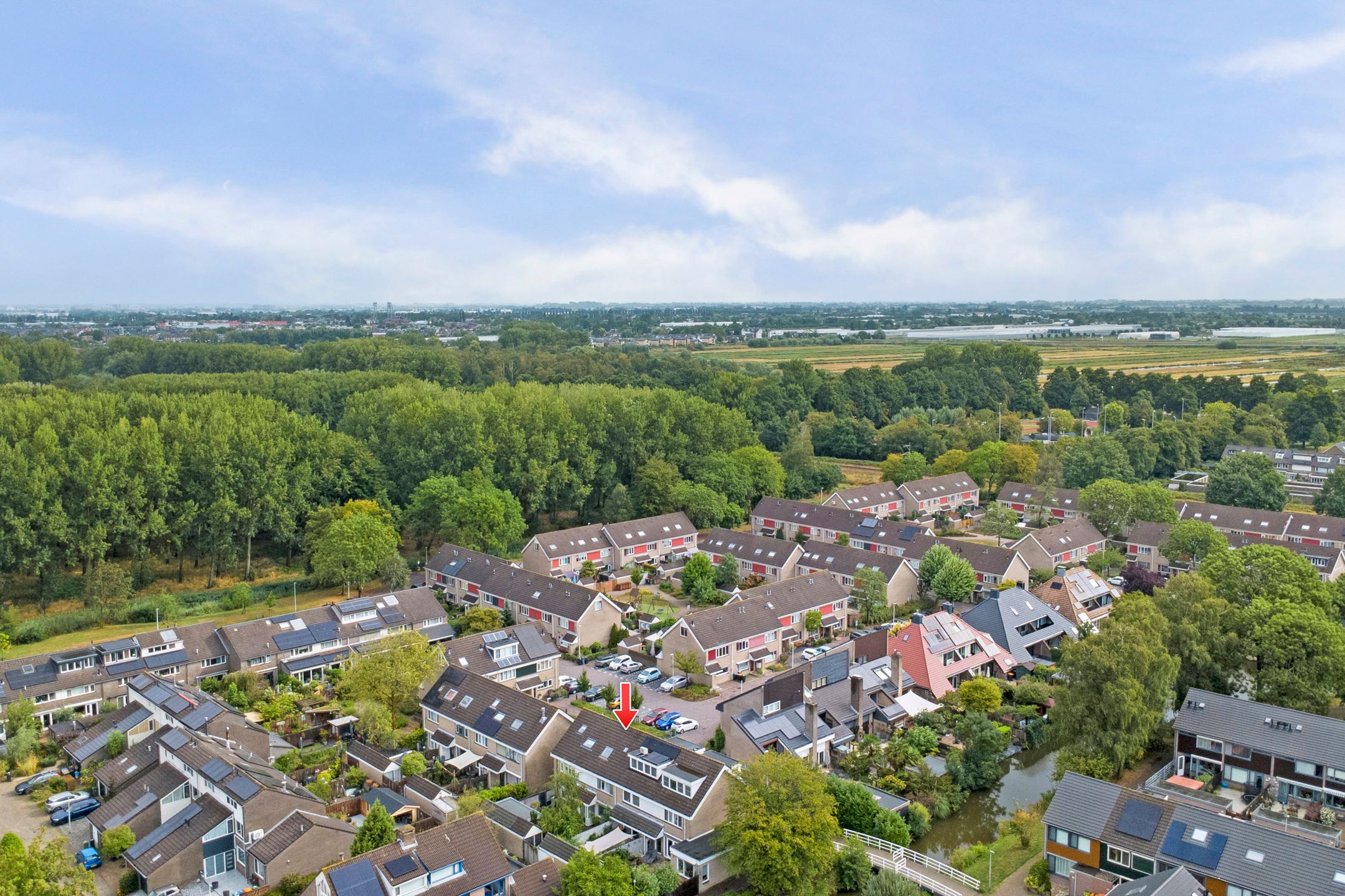 Photo 39 of Papaverveld 41